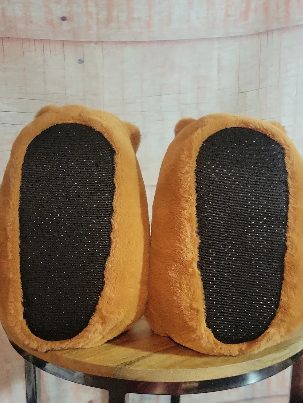 Capybara Slippers